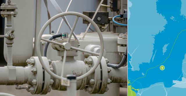 De läckagedrabbade gasledningarna sträcker sig 120 mil genom Östersjön. TT/Nord Stream