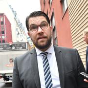 SD-ledaren Jimmie Åkesson.