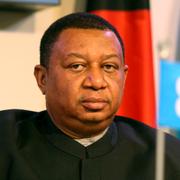 Opecs generalsekreterare Mohammed Barkindo (arkivbild). 
