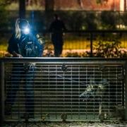 Polis på plats och söker med hund vid Stenkulaskolan och Branteviksgatan i Malmö.
