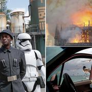 Star Wars Galaxy’s Edge, Notre Dame, Bahamas.