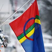 Den samiska flaggan.