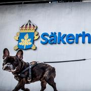 En hund går förbi Säkerhetspolisen, Säpo, på Bolstomtavägen i Solna. Arkivbild. 