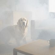 WiFi Vision® upptäcker rörelse i fullt rökfyllda rum där kameror inte ser.