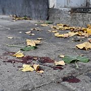 Blodspår på brottsplatsen efter skjutningen i Gävle den 4 oktober 2025.
