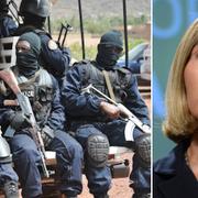 Antinterrorstyrkor på plats i Mali / Federica Mogherini