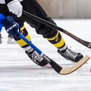 Bandy-VM 2019.