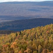 Foto från Vindelfjällen i Västerbotten, taget i september 2016.