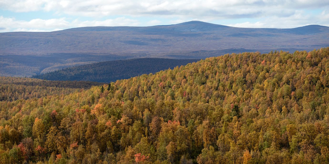 Foto från Vindelfjällen i Västerbotten, taget i september 2016.