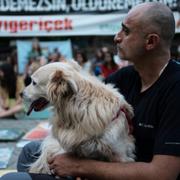 En man och hans hund vid en protest mot lagförslaget.