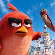 Bild från Angry Birds-filmen.