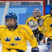 Tre kronor vid Paralympics i Pyeongchang.