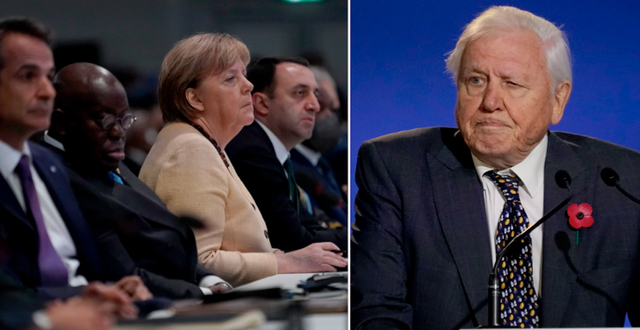Angela Merkel fanns bland åhörarna när Attenborough talade. TT