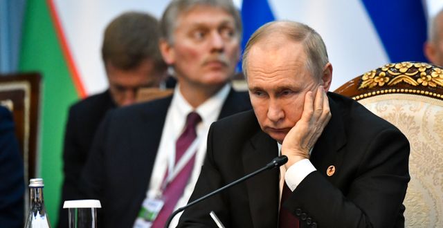 Vladimir Putin.  Vladimir Voronin / AP