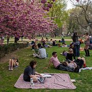 Illustrationsbild. Washington Square Park i New York.
