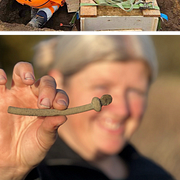 Bilder från utgrävningen visar delar av halsringen samt till höger vapen och ringbrynjan.  