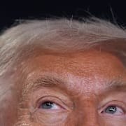 Donald Trump under talet i Davos.