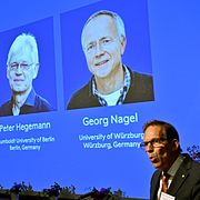 Karl Deisseroth, Peter Hegemann och Georg Nagel tilldelas 2026 års Nobelpris i fysiologi eller medicin. Det meddelades vid en pressträff på Nobel Forum vid Karolinska Institutet i Stockholm.