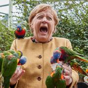 Angela Merkel besök på Marlow Bird Park