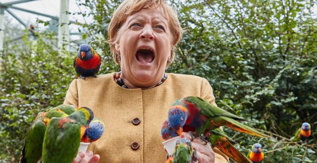Angela Merkel besök på Marlow Bird Park Georg Wendt / TT NYHETSBYRÅN