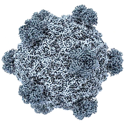 En visualisering av ett virus som i studien skapats med en AI-modell. Till höger syns forskarna Hie och Aditi Merchant som har jobbat med projektet.