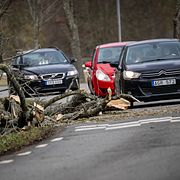 Ett träd har fallit för de hårda vindbyarna vid Trolle Ljungby utanför Kristianstad på påskafton.