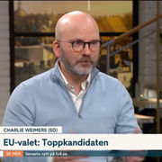 Charlie Weimers i TV4:s Nyhetsmorgon.