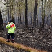 Skogsbrand i Delsjöområdet i Göteborgskommun den 5 juli.
