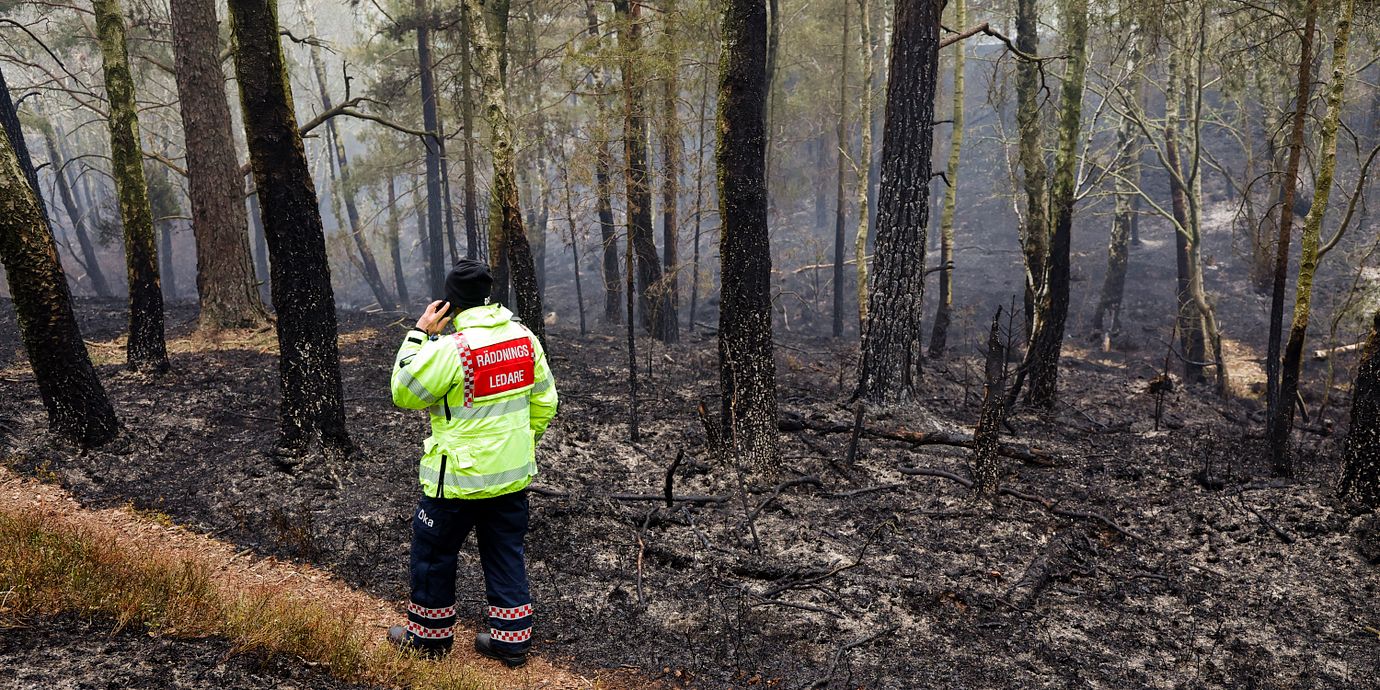Skogsbrand i Delsjöområdet i Göteborgskommun den 5 juli.