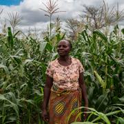 Imelda Hicoombolwa, jordbrukare i Zambia.