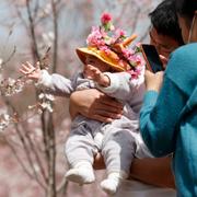 Föräldrar i Peking visar sitt barn blommande körsbärsträd.