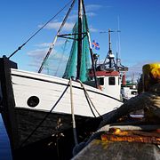 Isländsk fiskebåt.