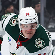 Hela den svenska OS-truppen spelar till vardags i NHL. 