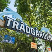 Trädgården. 
