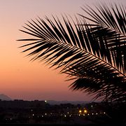 Hurghada är den mest kända semesterstaden på Rödahavsrivieran, men det finns fler ställen att upptäcka.