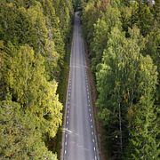 Skogsområde utanför Fagersta, arkivbild från 2023.