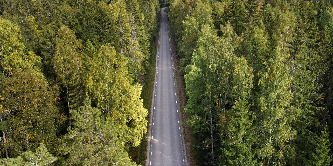 Skogsområde utanför Fagersta, arkivbild från 2023.