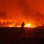 Skogsbrand i Grekland.