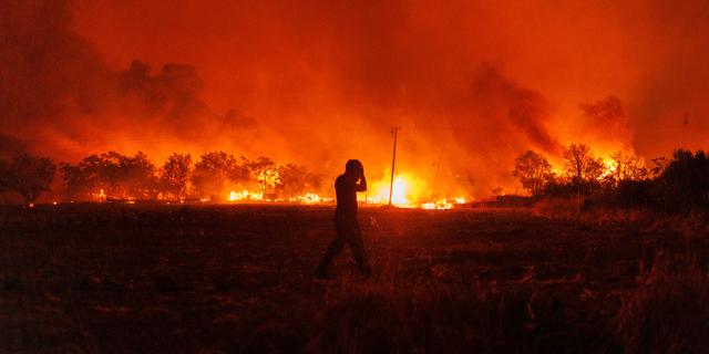 Skogsbrand i Grekland. Achilleas Chiras / AP