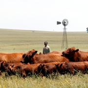 En lantbrukare i Senekal i Sydafrika.