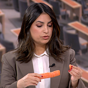Vänsterpartiets ledare Nooshi Dadgostar illustrerar matpriset med hjälp av en morot i kvällens Aktuellt.