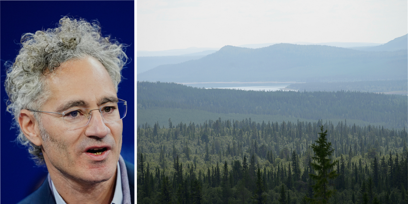 Alex Karp har köpt 15 000 hektar mark i Härjedalen.