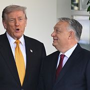 Viktor Orbán på besök i Vita huset med Donald Trump i november 2025.