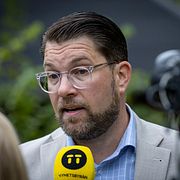 Sverigedemokraternas partiledare Jimmie Åkesson.