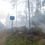 Skogsbranden i Broddbo-Hedbo nordväst om Sala den 5 juni