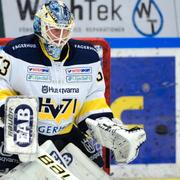 HV71:s målvakt Fredrik Pettersson Wentzel.