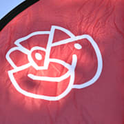 S-studenter vill se obligatorisk utbildning i totalförsvar. 