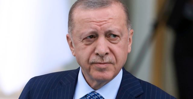 Turkiets president Recep Tayyip Erdogan Burhan Ozbilici / AP