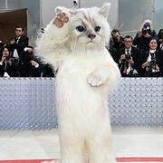 Jared Leto klädde ut sig till Karl Lagerfelds katt Choupette på Metgalan i New York 2023.