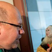 Tysklands miljöminister Peter Altmaier hälsar på Mally på ett djurhärbärge.
